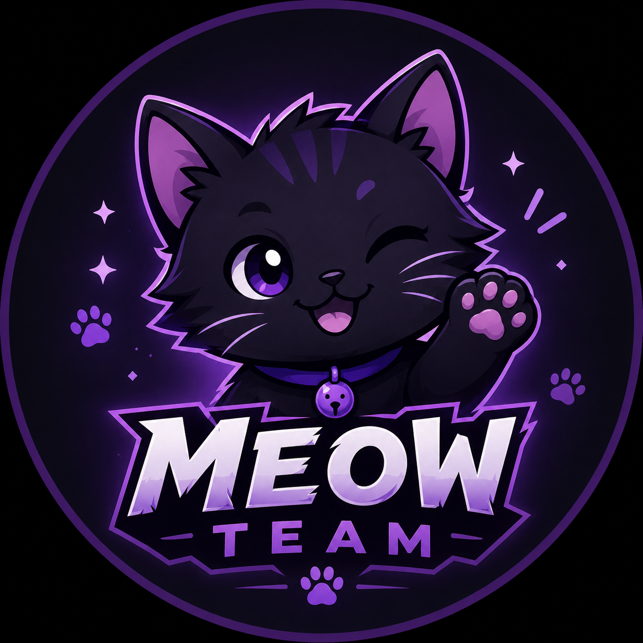 Logo Meow Team